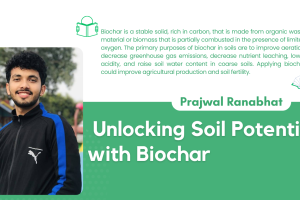 Unlocking Soil Potential with Biochar