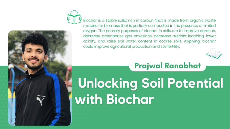 Unlocking Soil Potential with Biochar