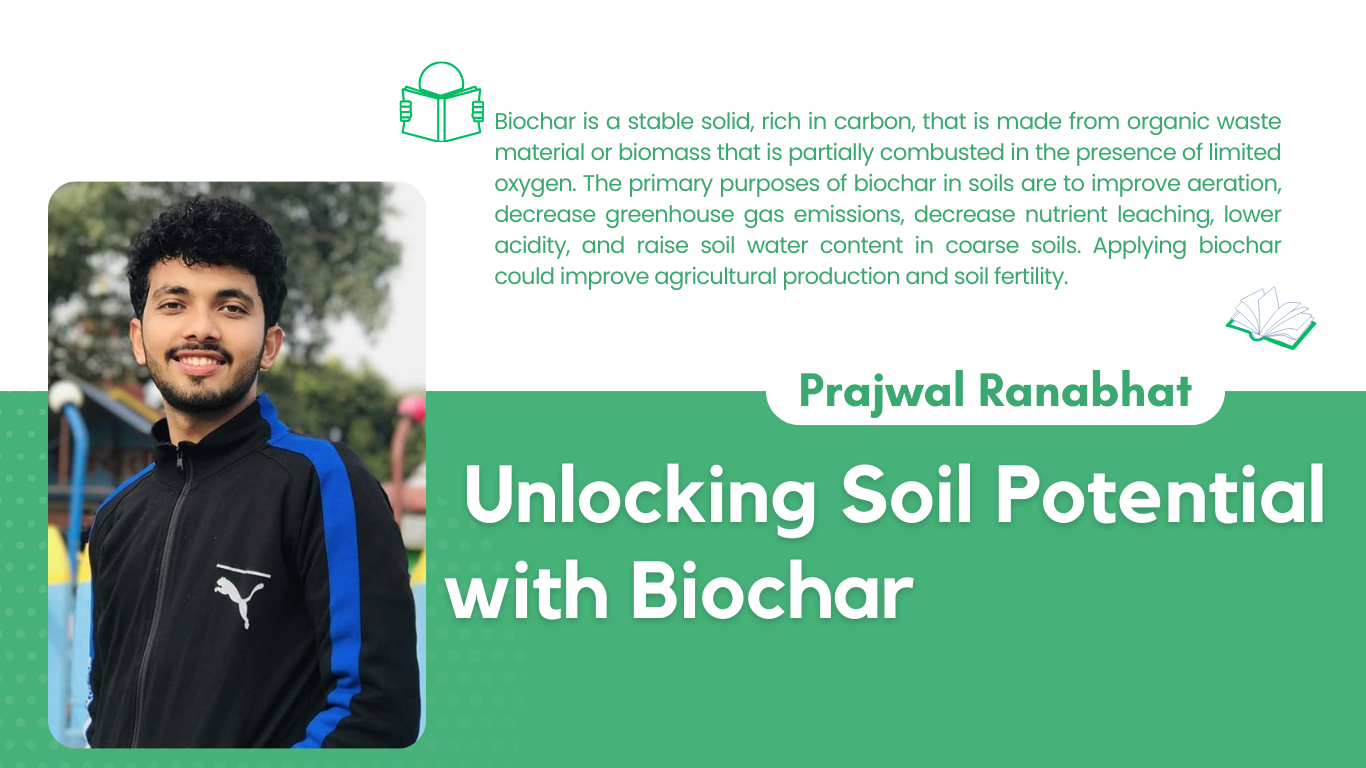 Unlocking Soil Potential with Biochar