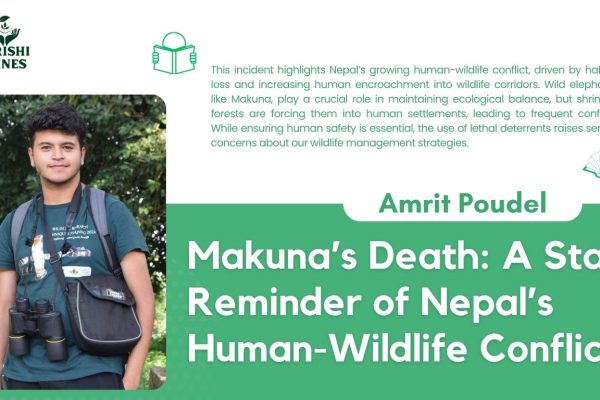 Makuna’s Death: A Stark Reminder of Nepal’s Human-Wildlife Conflict