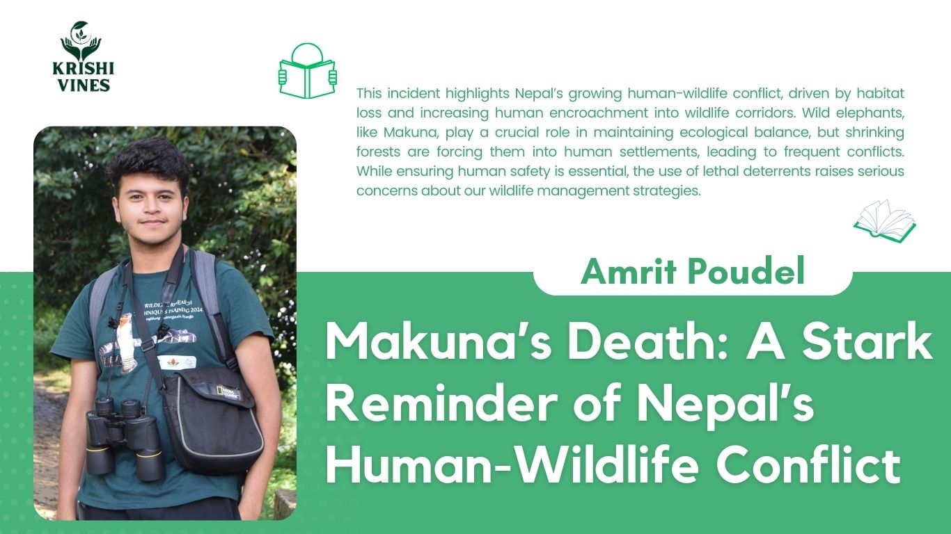 Makuna’s Death: A Stark Reminder of Nepal’s Human-Wildlife Conflict