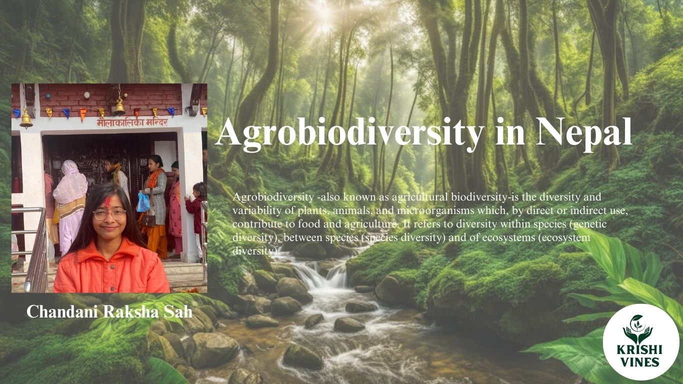 Agrobiodiversity in Nepal ||Krishi Vines||