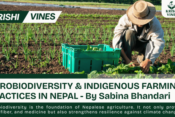 AGROBIODIVERSITY & INDIGENOUS FARMING PRACTICES IN NEPAL - By Sabina Bhandari
