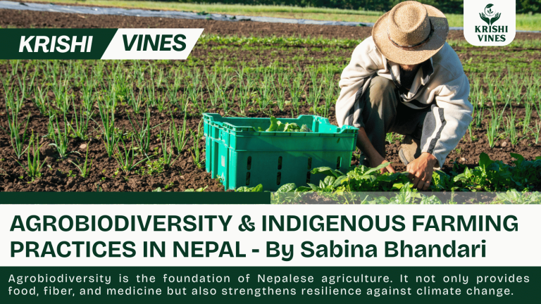 AGROBIODIVERSITY & INDIGENOUS FARMING PRACTICES IN NEPAL - By Sabina Bhandari