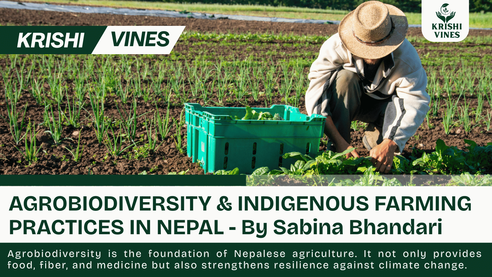 AGROBIODIVERSITY & INDIGENOUS FARMING PRACTICES IN NEPAL - By Sabina Bhandari