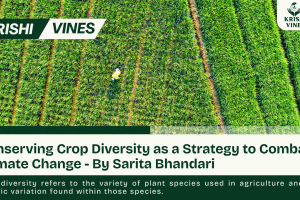 Conserving Crop Diversity as a Strategy to Combat Climate Change - By Sarita Bhandari