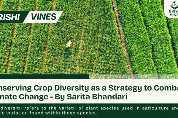 Conserving Crop Diversity as a Strategy to Combat Climate Change - By Sarita Bhandari