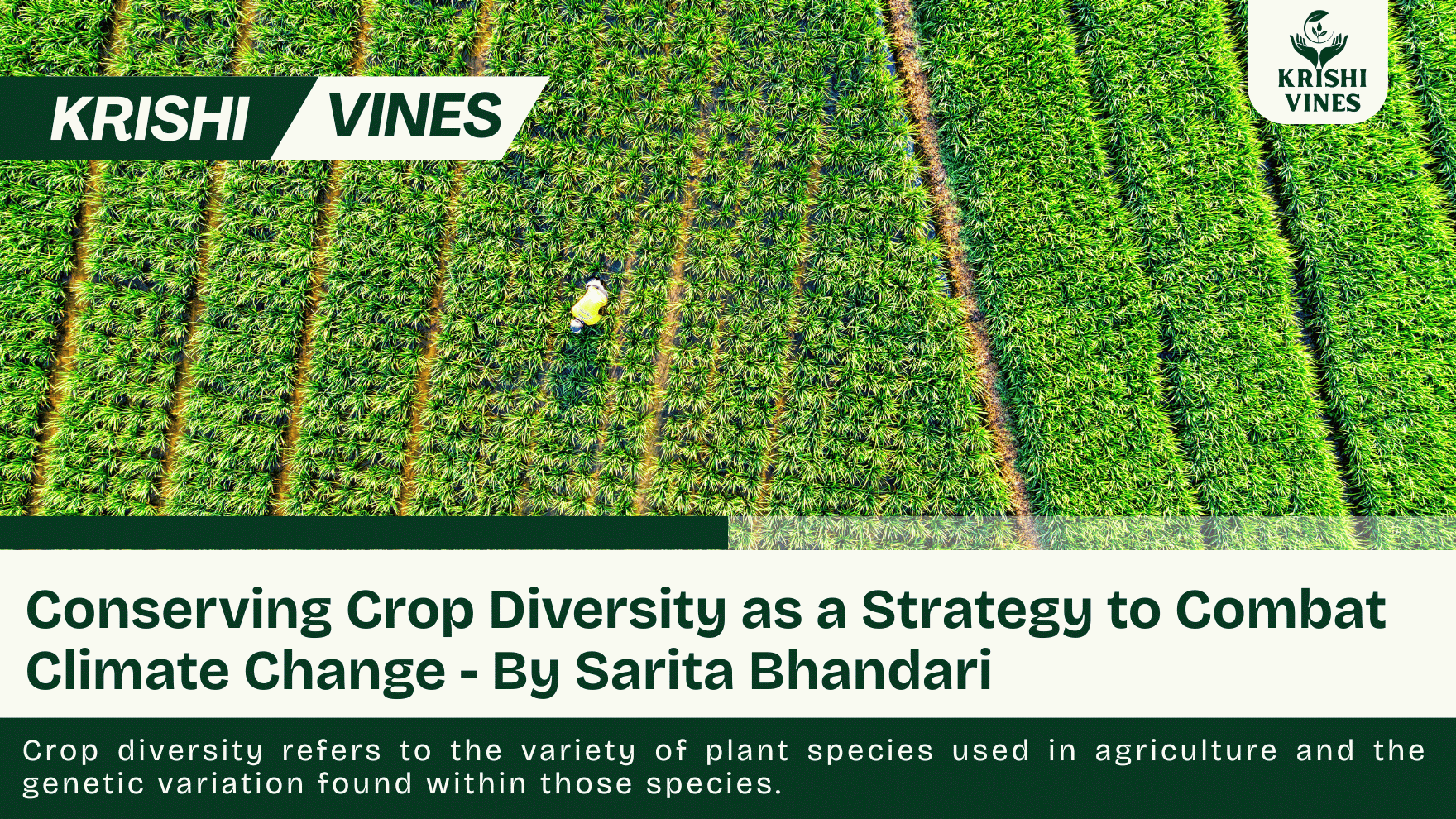 Conserving Crop Diversity as a Strategy to Combat Climate Change - By Sarita Bhandari