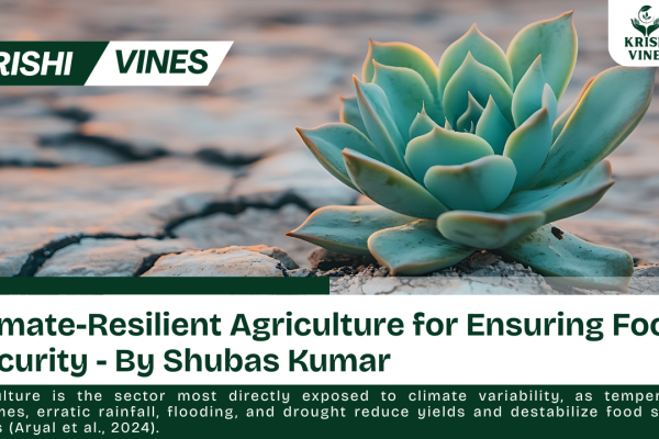 Climate-Resilient Agriculture for Ensuring Food Security - By Shubas Kumar || Krishi Vines