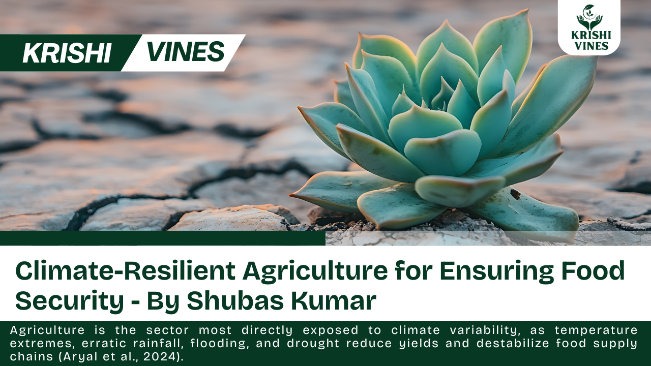 Climate-Resilient Agriculture for Ensuring Food Security - By Shubas Kumar || Krishi Vines