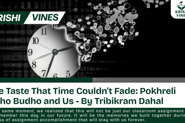 At the same moment, we realized that this will not be just our classroom assignment when we remember this day in our future. It will be the memories we built together during the process of assignment accomplishment that will stay with us forever.