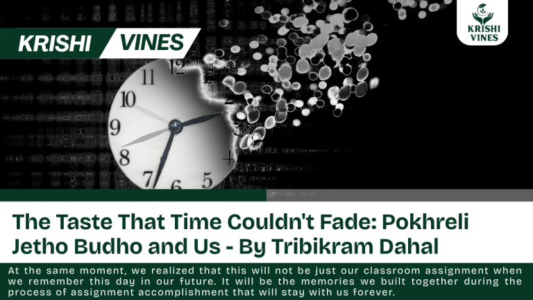 At the same moment, we realized that this will not be just our classroom assignment when we remember this day in our future. It will be the memories we built together during the process of assignment accomplishment that will stay with us forever.