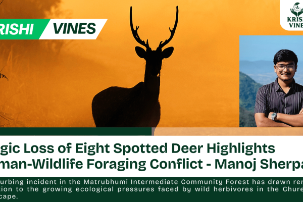 Tragic Loss of Eight Spotted Deer Highlights Human-Wildlife Foraging Conflict
