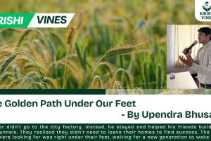 In a small village tucked between green hills, there lived a young man named Sameer. Every morning, Sameer watched the older men in his village work from sunrise to sunset. They walked behind heavy oxen, their backs aching and their faces burnt by the sun. Despite all their hard work, they remained poor. The soil was tired, and the insects ate most of the crops. "I don't want this life," Sameer told his mother. "I am going to the city to find a job in a factory. There is no future in the mud." His mother was sad, but she gave him a small piece of family land near the river. "Just try for one season," she pleaded. "But do it your way." Sameer decided to try something different. Instead of using the old tools, he went to a training center in the nearby town. He learned that farming didn't have to be a battle against nature. He returned to the village not with a plow, but with a small bag of high-quality seeds and some rolls of white plastic. He built a simple tunnel house with the plastic. His neighbors laughed at him. "Sameer is building a house for his plants!" they joked. "He thinks he is smarter than the rain." But Sameer didn't mind. Inside his plastic tunnel, the temperature was perfect. He didn't wait for the monsoon rain; he used a simple pipe system that gave a tiny bit of water directly to each plant. He didn't use harsh chemicals that killed the soil. Instead, he made his own fertilizer from compost. A few months later, a heavy storm hit the village. The wind and hail destroyed the neighbors' open fields. Their corn was flattened, and their hopes were gone. But Sameer’s plants were safe inside his tunnel. When the storm passed, Sameer opened the plastic door. Inside, there were rows of bright red tomatoes and large, sweet cucumbers. In the local market, there were no other vegetables because of the storm. Sameer’s crops were the best anyone had ever seen. The traders from the city came to him. They paid him more money in one week than most farmers made in a year. Sameer wasn't tired or broken. He used his phone to check the market prices and talk to buyers. He looked like a businessman, not a tired laborer. The young men of the village came to watch him work. They saw that Sameer had time to rest, time to learn, and money in his pocket. He proved that agriculture wasn't about "digging in the dirt"—it was about using your brain to grow a future. Sameer didn't go to the city factory. Instead, he stayed and helped his friends build their own tunnels. They realized they didn't need to leave their homes to find success. The "gold" they were looking for was right under their feet, waiting for a new generation to wake it up.