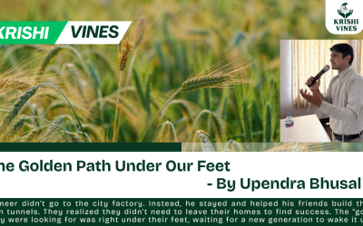 Goldern Path Under our Feet