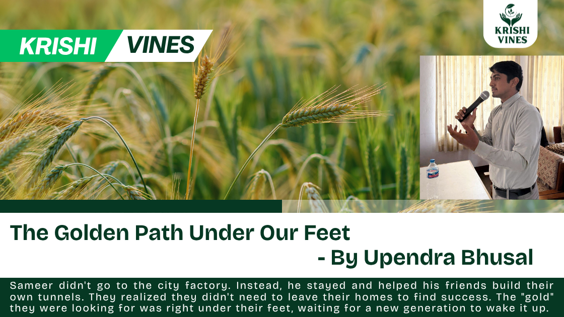 In a small village tucked between green hills, there lived a young man named Sameer. Every morning, Sameer watched the older men in his village work from sunrise to sunset. They walked behind heavy oxen, their backs aching and their faces burnt by the sun. Despite all their hard work, they remained poor. The soil was tired, and the insects ate most of the crops. "I don't want this life," Sameer told his mother. "I am going to the city to find a job in a factory. There is no future in the mud." His mother was sad, but she gave him a small piece of family land near the river. "Just try for one season," she pleaded. "But do it your way." Sameer decided to try something different. Instead of using the old tools, he went to a training center in the nearby town. He learned that farming didn't have to be a battle against nature. He returned to the village not with a plow, but with a small bag of high-quality seeds and some rolls of white plastic. He built a simple tunnel house with the plastic. His neighbors laughed at him. "Sameer is building a house for his plants!" they joked. "He thinks he is smarter than the rain." But Sameer didn't mind. Inside his plastic tunnel, the temperature was perfect. He didn't wait for the monsoon rain; he used a simple pipe system that gave a tiny bit of water directly to each plant. He didn't use harsh chemicals that killed the soil. Instead, he made his own fertilizer from compost. A few months later, a heavy storm hit the village. The wind and hail destroyed the neighbors' open fields. Their corn was flattened, and their hopes were gone. But Sameer’s plants were safe inside his tunnel. When the storm passed, Sameer opened the plastic door. Inside, there were rows of bright red tomatoes and large, sweet cucumbers. In the local market, there were no other vegetables because of the storm. Sameer’s crops were the best anyone had ever seen. The traders from the city came to him. They paid him more money in one week than most farmers made in a year. Sameer wasn't tired or broken. He used his phone to check the market prices and talk to buyers. He looked like a businessman, not a tired laborer. The young men of the village came to watch him work. They saw that Sameer had time to rest, time to learn, and money in his pocket. He proved that agriculture wasn't about "digging in the dirt"—it was about using your brain to grow a future. Sameer didn't go to the city factory. Instead, he stayed and helped his friends build their own tunnels. They realized they didn't need to leave their homes to find success. The "gold" they were looking for was right under their feet, waiting for a new generation to wake it up.